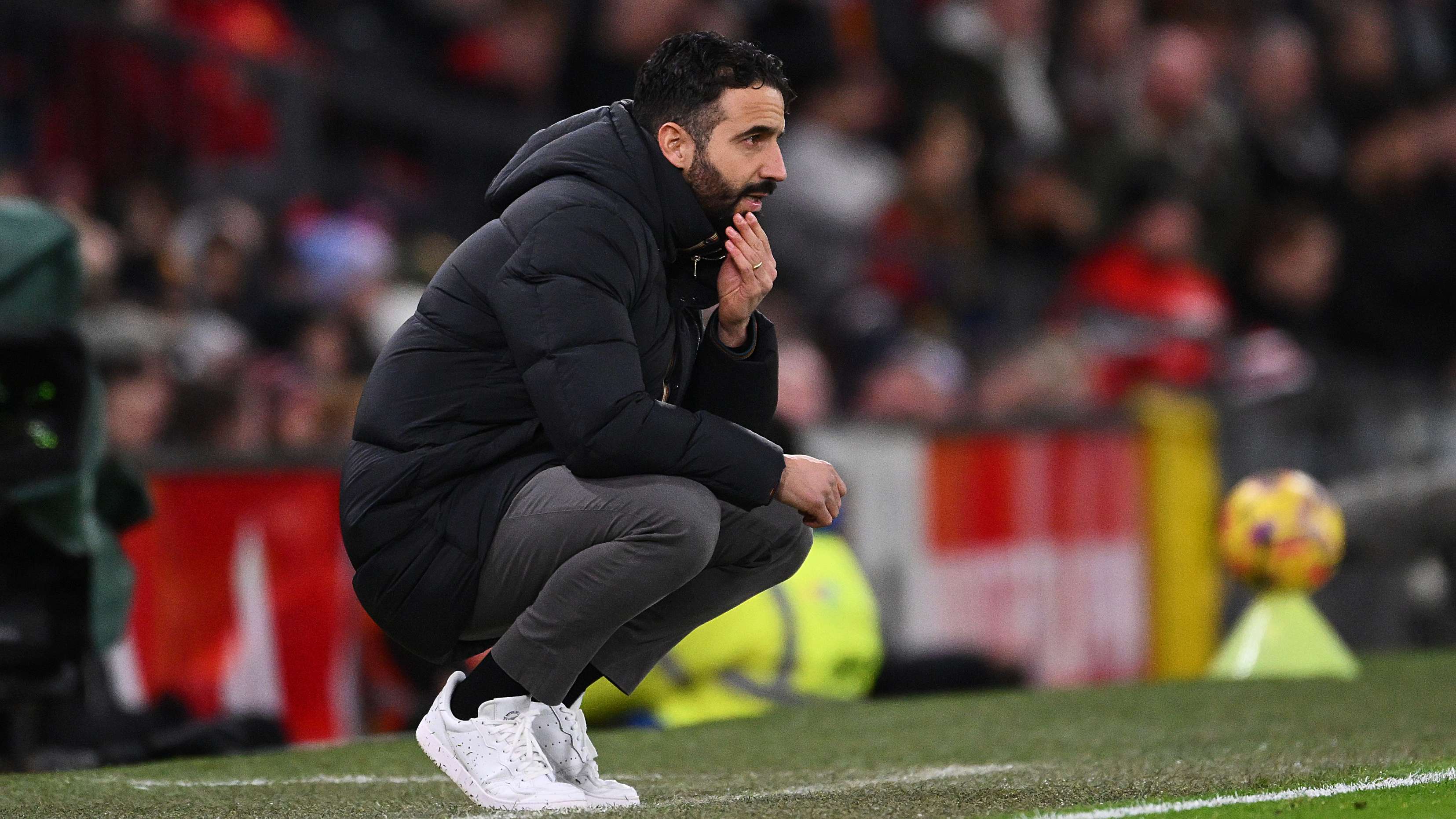 己的梦想 己的梦想