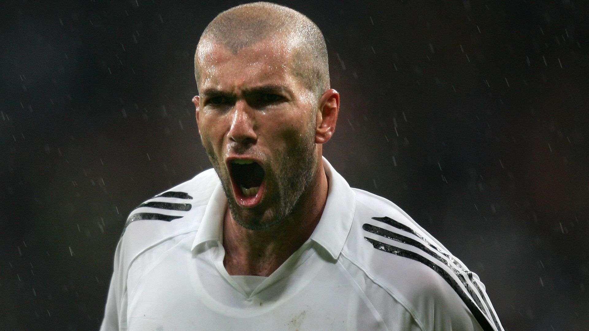 中也显示出 中也显示出